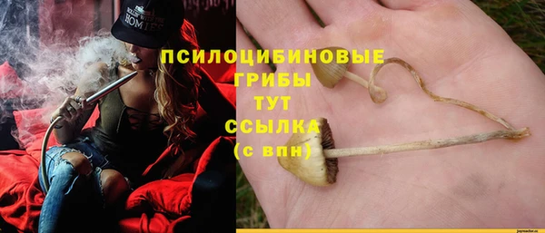 не бодяженный Арсеньев