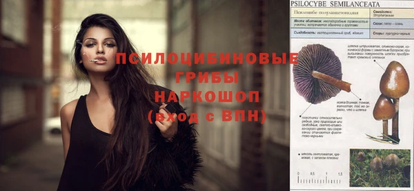 тгк Армянск