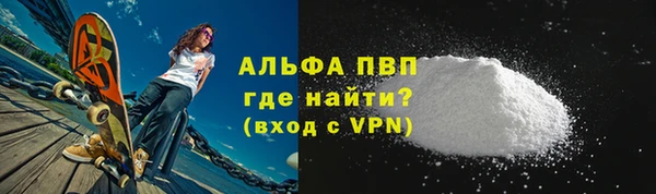 прущие грибы Аркадак