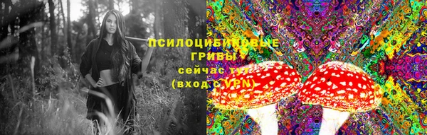 не бодяженный Арсеньев