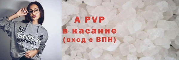 прущие грибы Аркадак