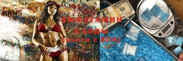 прущие грибы Аркадак