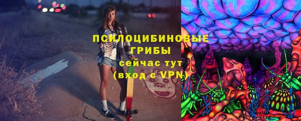 прущие грибы Аркадак
