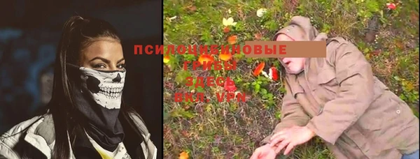 не бодяженный Арсеньев