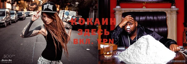 не бодяженный Арсеньев
