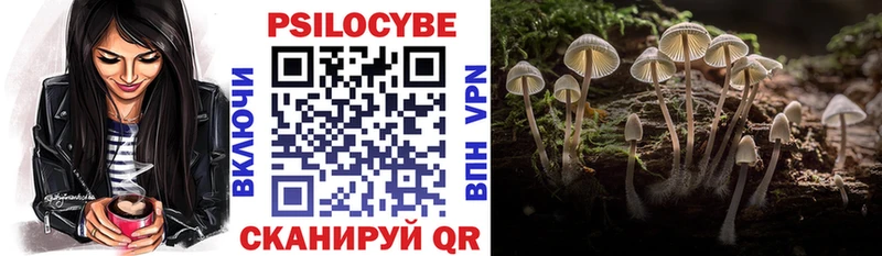 MEGA ONION  как найти наркотики  Окуловка  Псилоцибиновые грибы Cubensis 